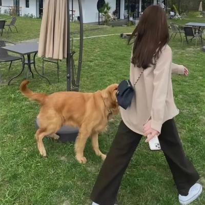特警云豹